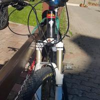 mauntainbike in carbonio 