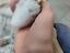Immagine 2