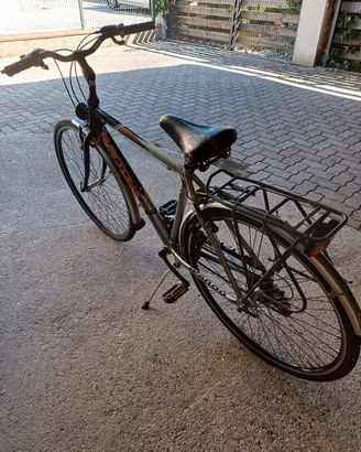 bicicletta da uomo