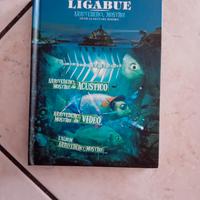 Ligabue Arrivederci mostro 