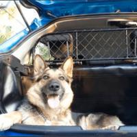 Rete  Ergo-Tech divisoria auto