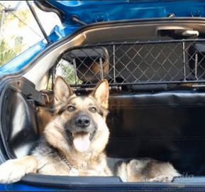 Rete  Ergo-Tech divisoria auto