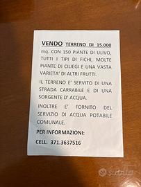 Terreno agricolo