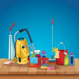 pulizie appartamenti , uffici , case vacanza 