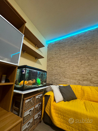 3 appartamenti A Giulianova luglio e agosto