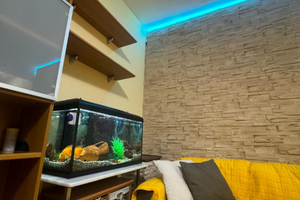 3 appartamenti A Giulianova luglio e agosto