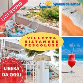 Villetta DA OGGi VISTA mare Posto Vecchio a SOLI