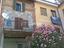 Immagine 16
