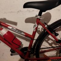 Bicicletta femminile.