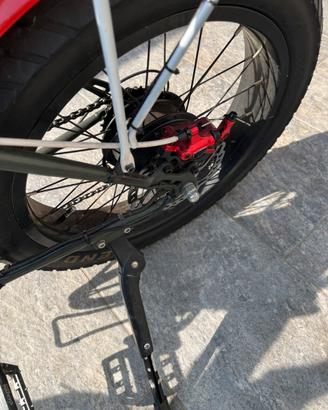 Bici elettrica