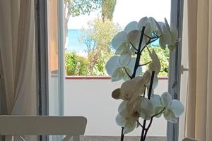 Gloria bilocale vista mare