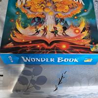 Wonder Book