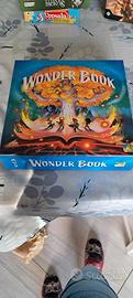 Wonder Book