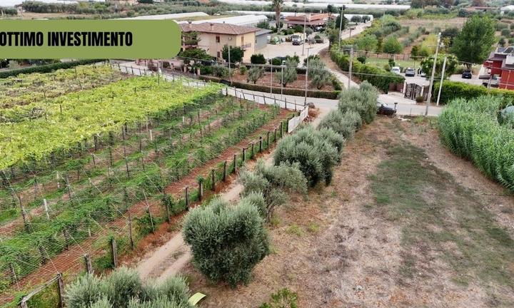 Terreno Agricolo - Via San Silviano, Terracina