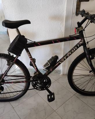 Mountain bike