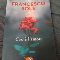 Libro Francesco sole COSI È L' AMORE