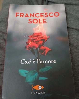 Libro Francesco sole COSI È L' AMORE