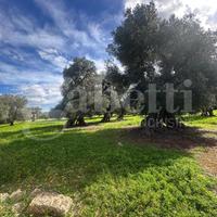 Terreno Agricolo Ostuni [Cod. rif 3297893VCG]