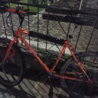 Bicicletta