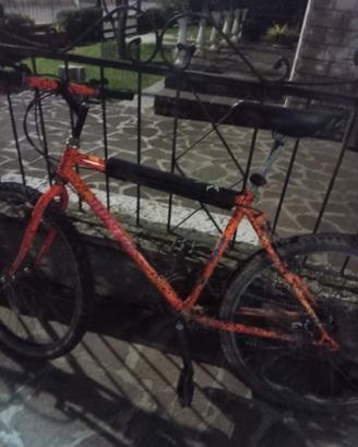 Bicicletta