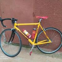 Bici da corsa