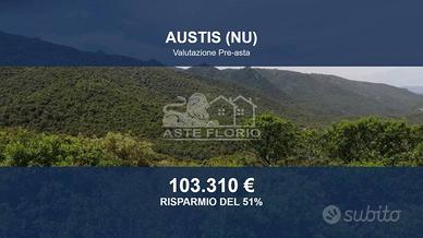 Immobile in asta di 435732 m² a Austis