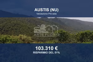 Immobile in asta di 435732 m² a Austis