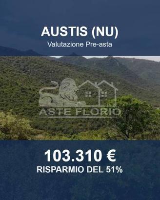 Immobile in asta di 435732 m² a Austis
