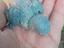Immagine 1