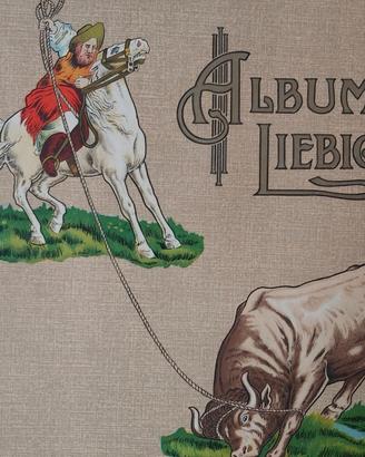 Album figurine Liebig (anni 1911 - 1913)