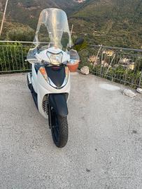 SH 300 sport