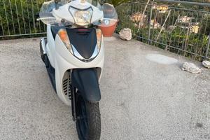 SH 300 sport