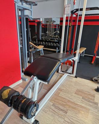 leg curl technogym 