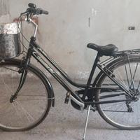 Cosentino Bici 26
Cambio SHIMANO