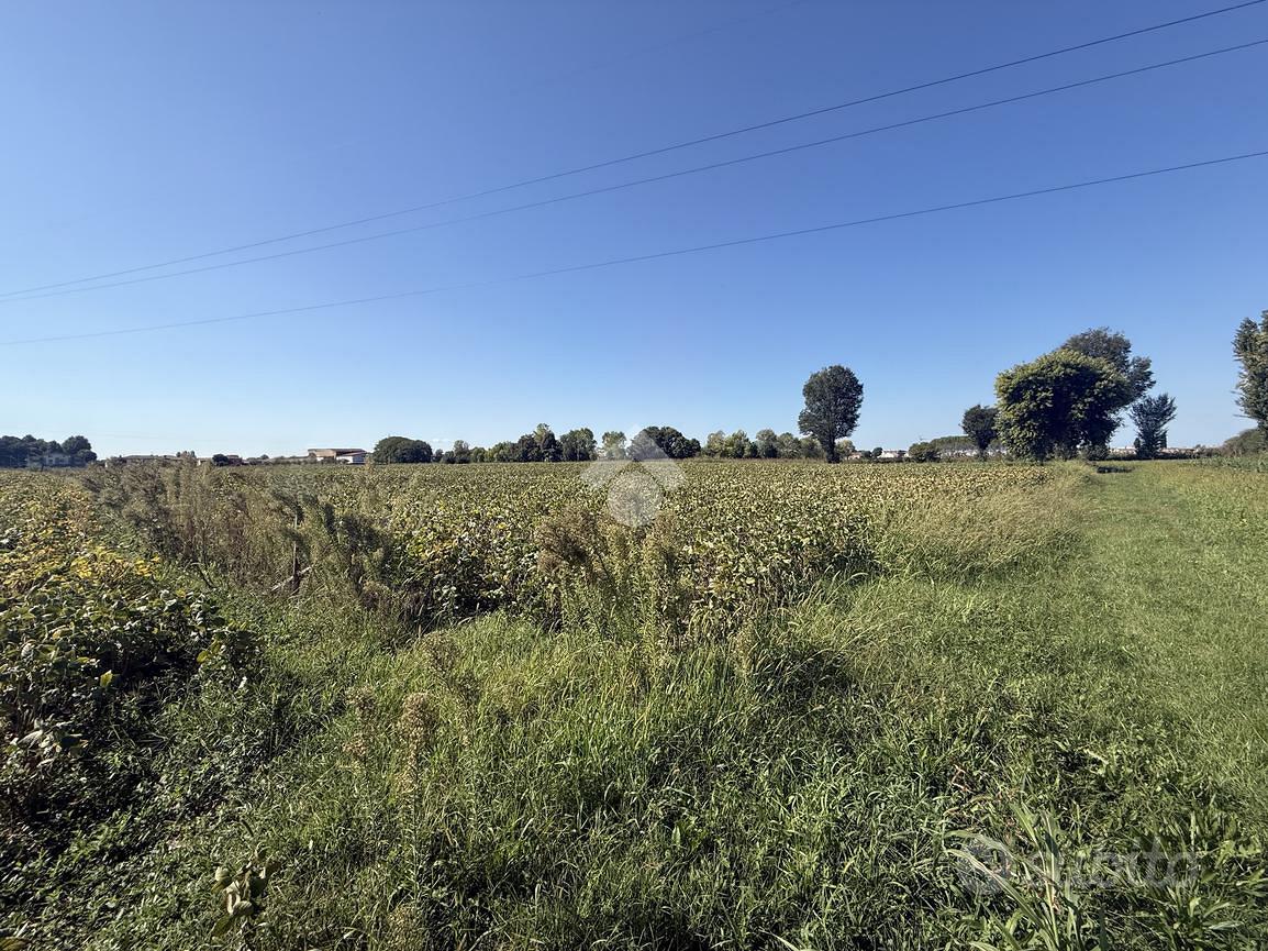 TER. AGRICOLO A BORGORICCO - Vista 3