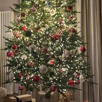 Pino luxury Edg 210 cm