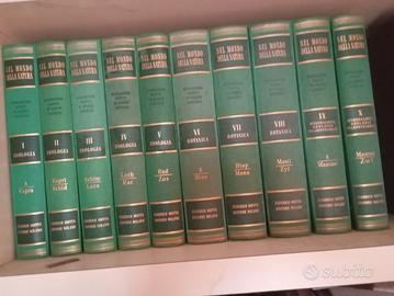 enciclopedia Motta 