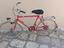Immagine 2