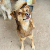 Una famiglia per Biondo