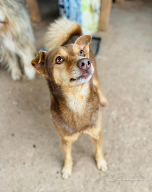 Una famiglia per Biondo