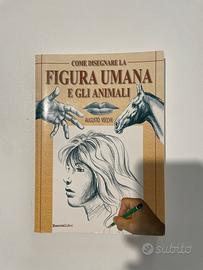 Come disegnare la figura umana e gli animali