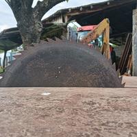 sega a disco a cardano