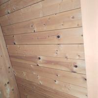 Verniciatore imbianchino