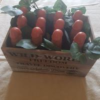 CASSETTA COLTIVATA A "PISELLI"