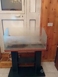 Teca tartaruga di Acqua 