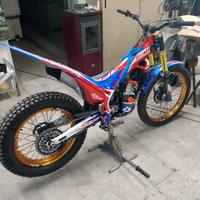 beta evo factory 300 2022 