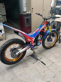 beta evo factory 300 2022 