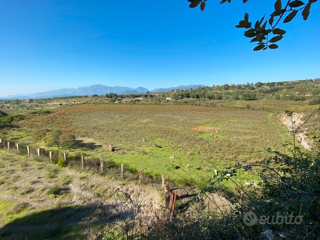 Tenuta con terreno