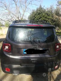 Renegade