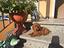 Immagine 5